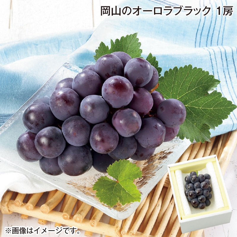 早割！お中元 岡山のオーロラブラック　１房 御中元 夏ギフト ギフト 贈答 送料込み