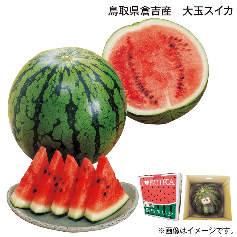 お中元 鳥取県倉吉産　大玉スイカ 御中元 夏ギフト ギフト 贈答 プレゼント 送料込み