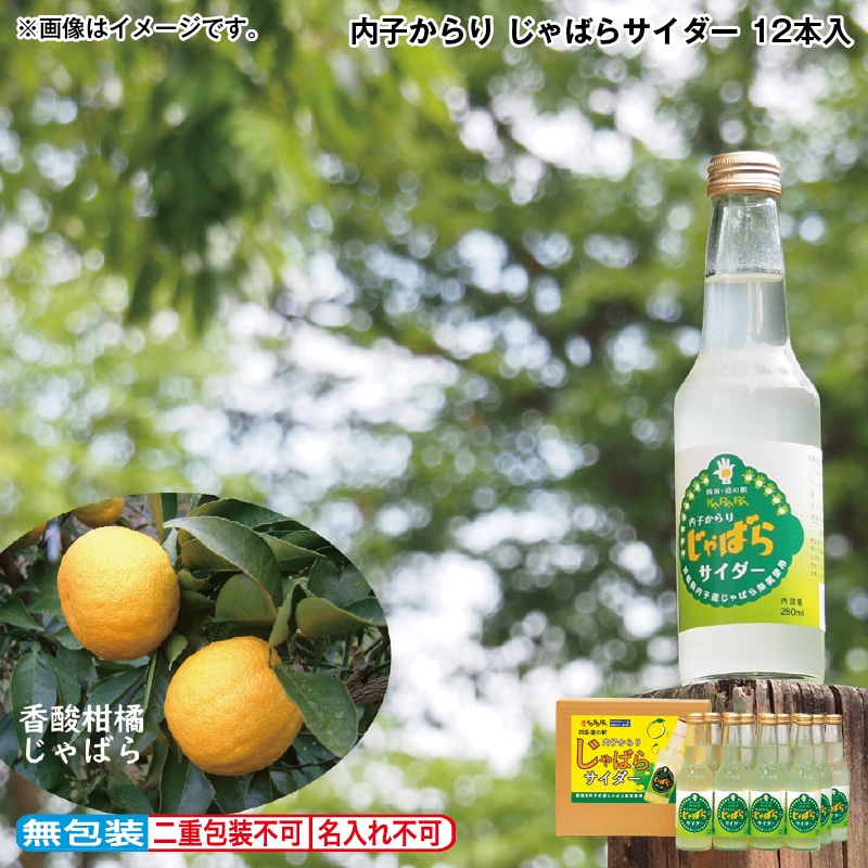 お中元 内子からり　じゃばらサイダー　１２本入 御中元 夏ギフト ギフト 贈答 プレゼント 送料込み