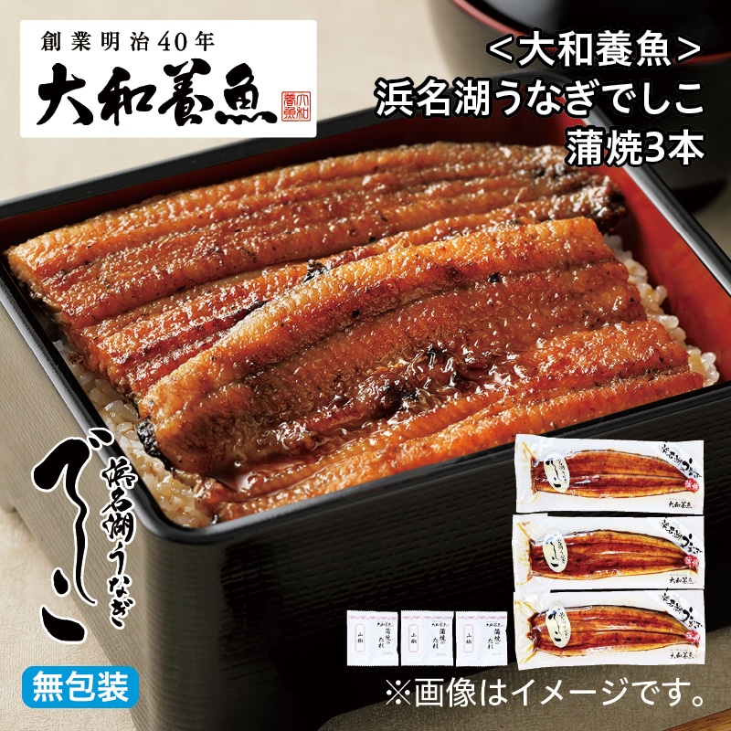 お中元 ＜大和養魚＞浜名湖うなぎでしこ　蒲焼３本 御中元 夏ギフト ギフト 贈答 プレゼント 送料込み