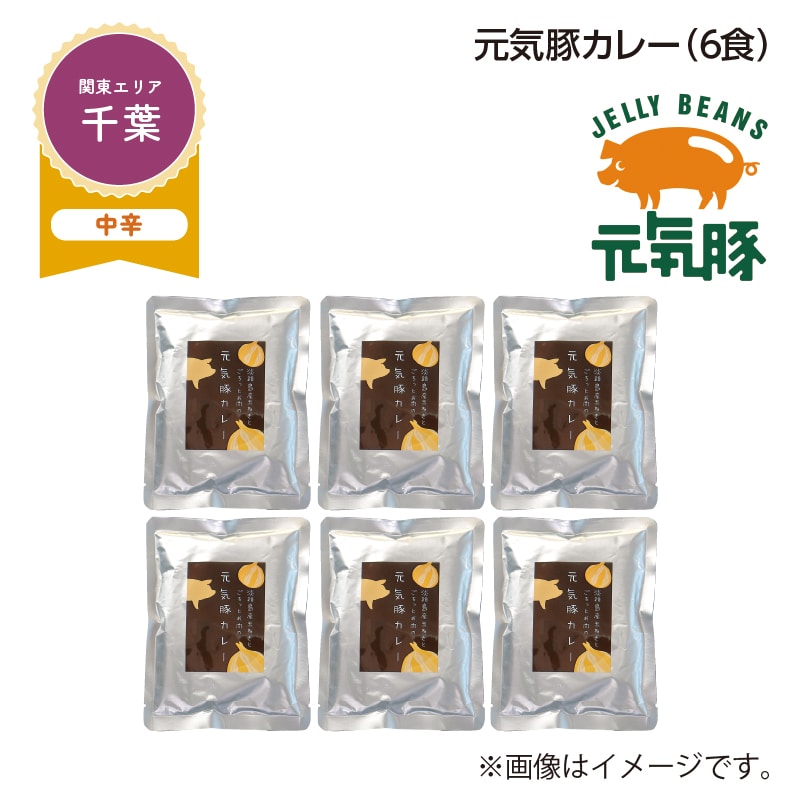 元気豚カレー　Ｂ（６食） 送料込み