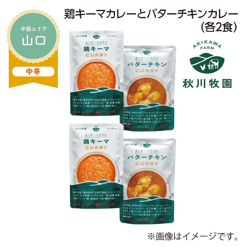 鶏キーマカレーとバターチキンカレー　Ｂ（各２食） 送料込み