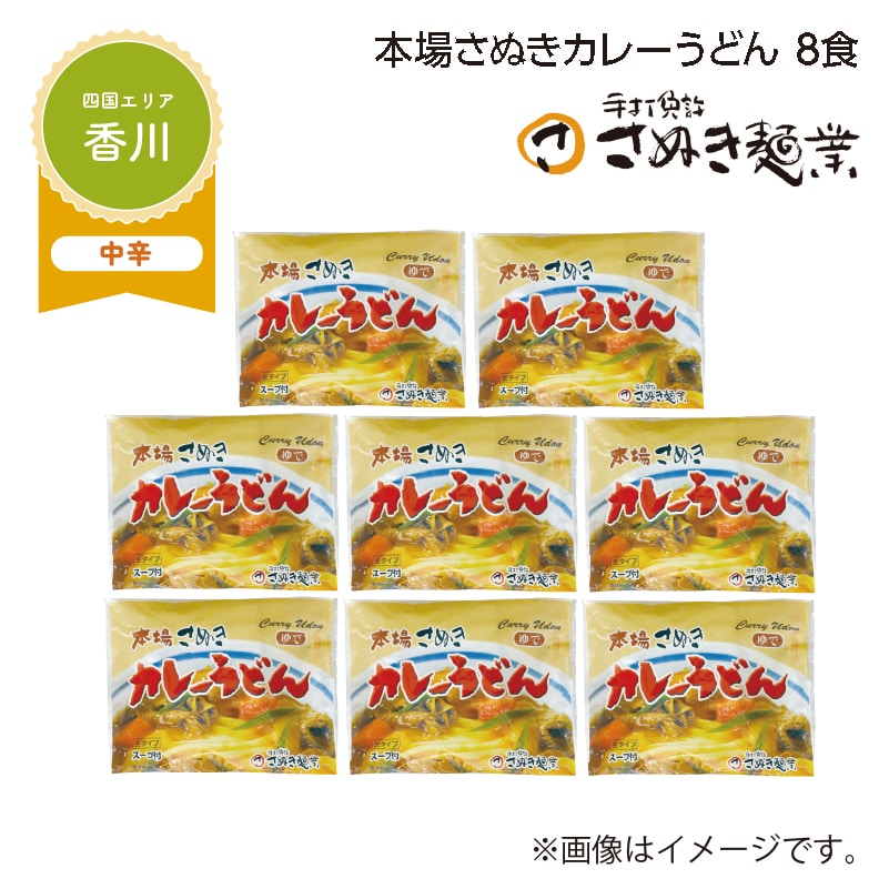 本場さぬきカレーうどん　８食 送料込み