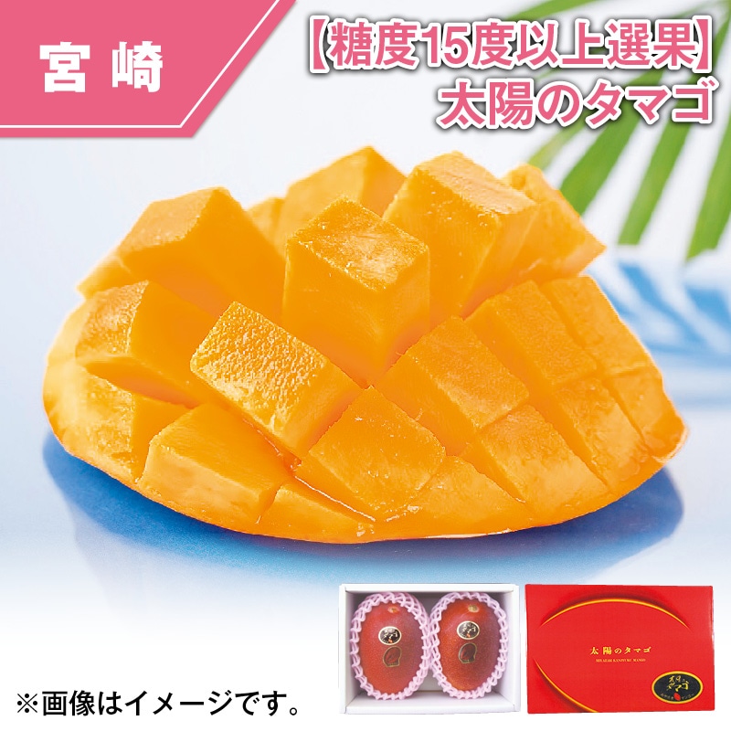 【糖度１５度以上選果】太陽のタマゴ 送料込み