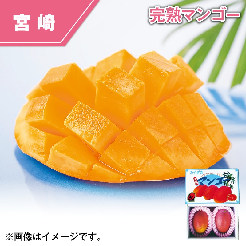 宮崎県　西都産　完熟マンゴー 送料込み