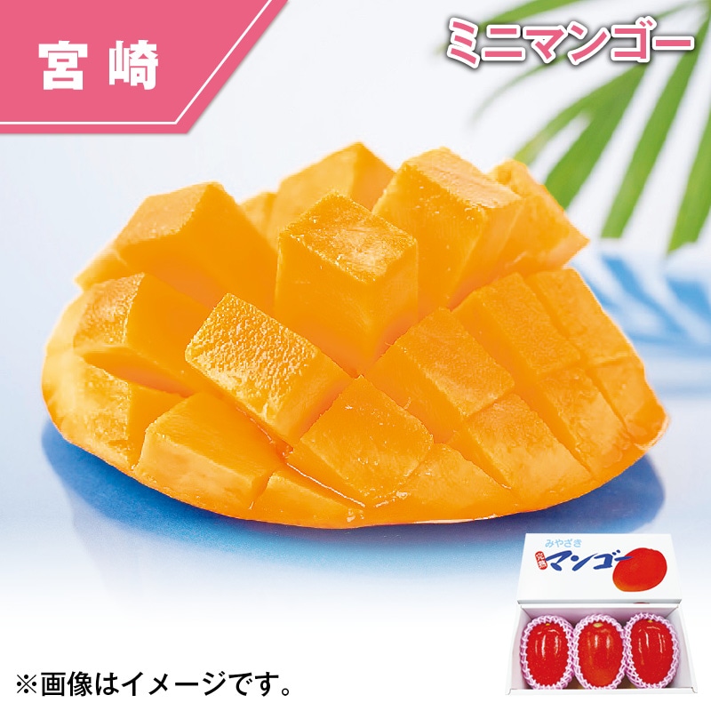 宮崎県　西都産　ミニマンゴー 送料込み