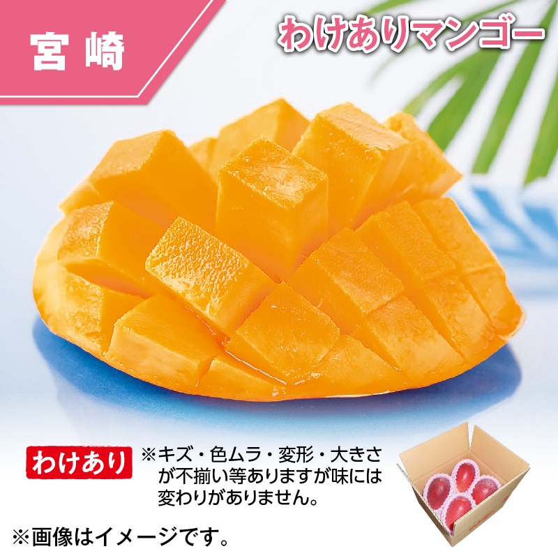 宮崎県　西都産　わけあり　マンゴー 送料込み