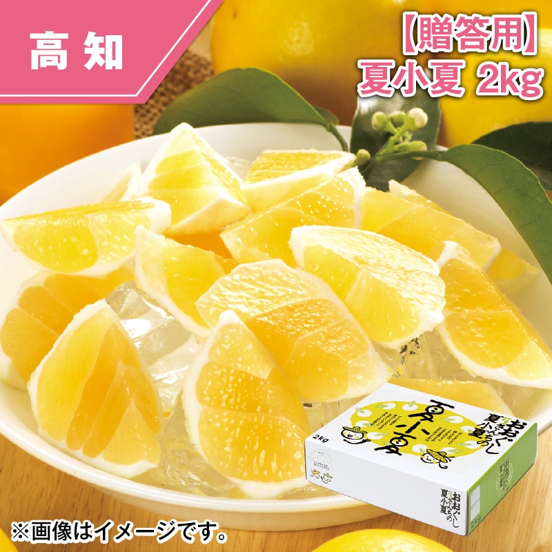【贈答用】夏小夏　２ｋｇ 送料込み