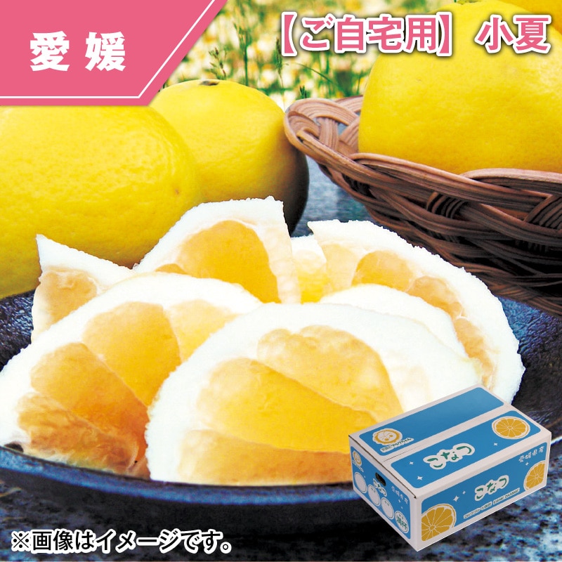 【ご自宅用】小夏 送料込み