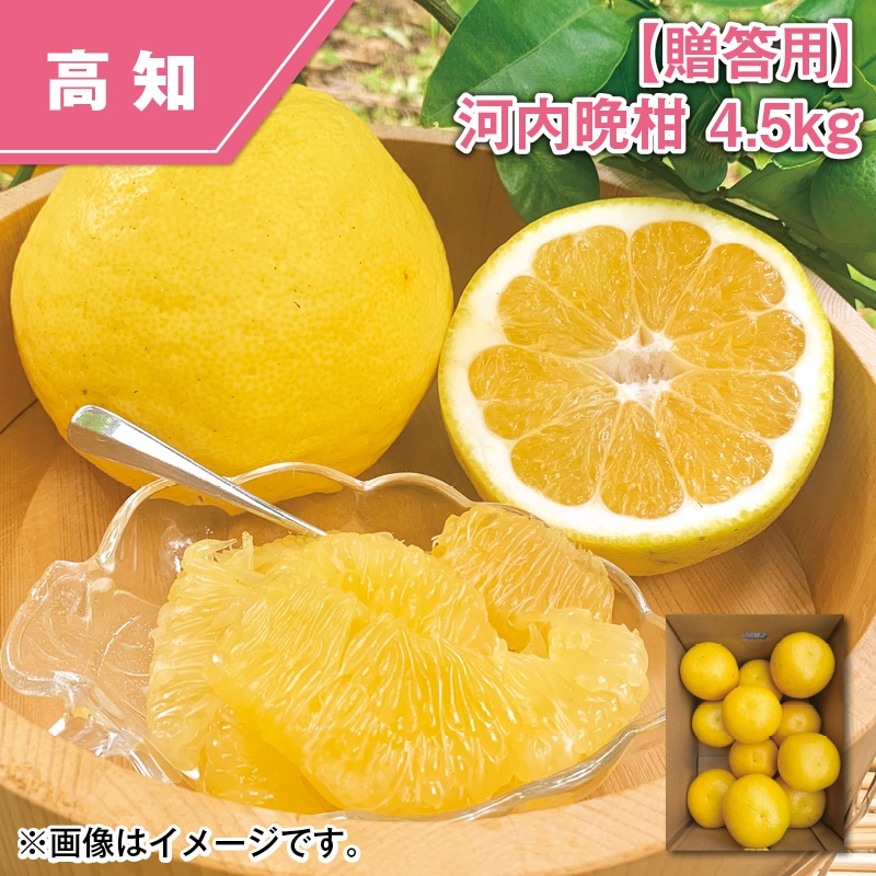 【贈答用】河内晩柑　４．５ｋｇ 送料込み