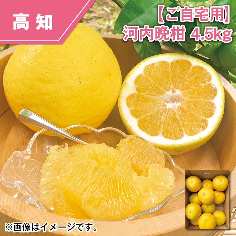 【ご自宅用】河内晩柑　４．５ｋｇ 送料込み
