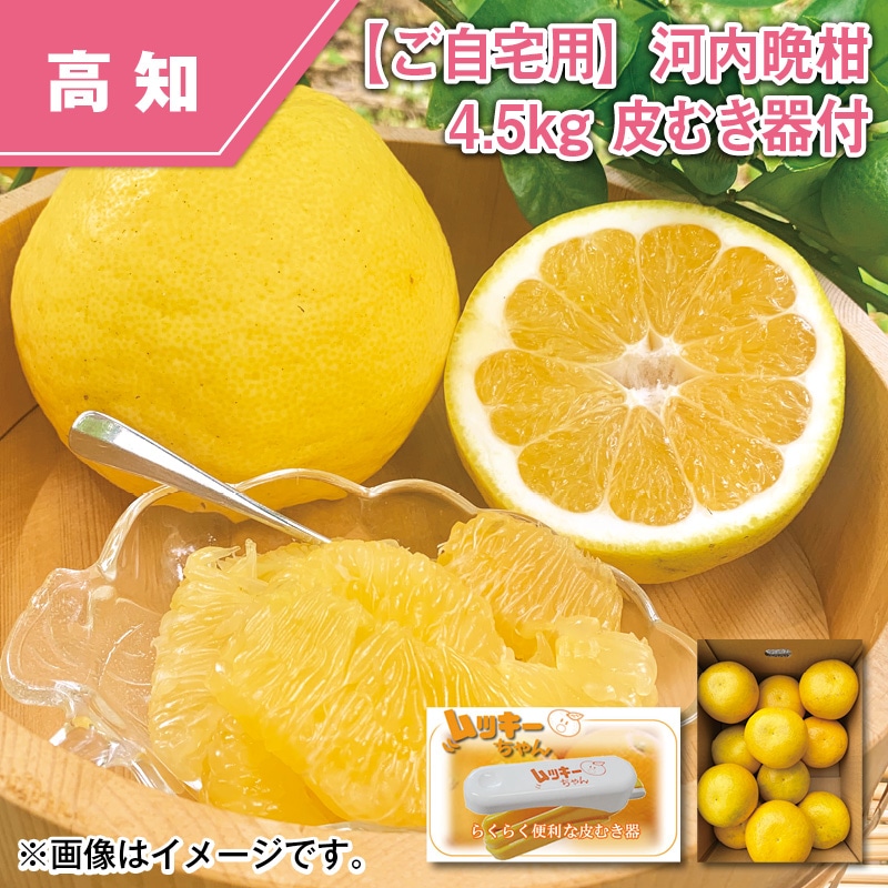 【ご自宅用】河内晩柑　４．５ｋｇ　皮むき器付 送料込み