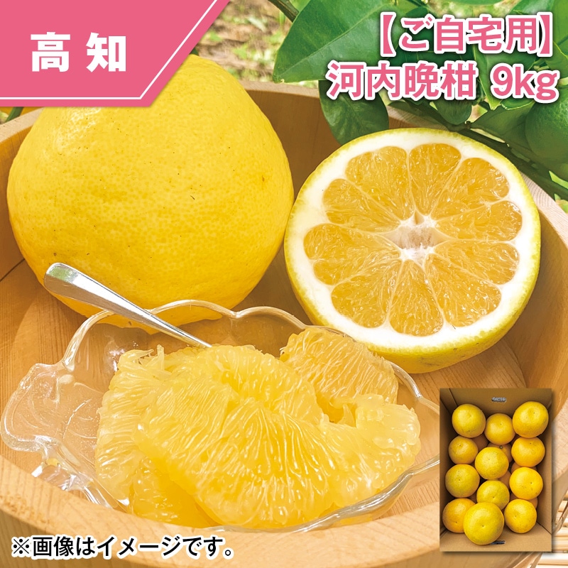【ご自宅用】河内晩柑　９ｋｇ 送料込み
