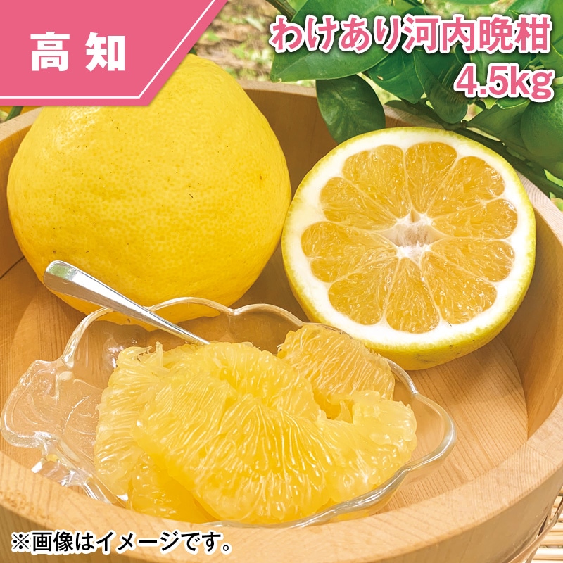わけあり　河内晩柑　４．５ｋｇ 送料込み