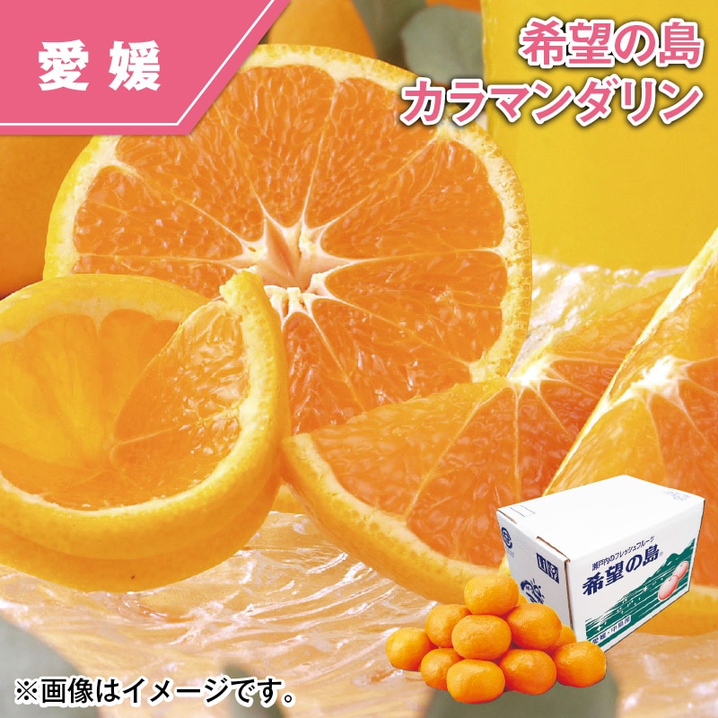 希望の島　カラマンダリン 送料込み