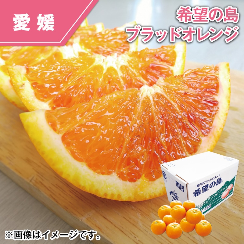 希望の島　ブラッドオレンジ 送料込み