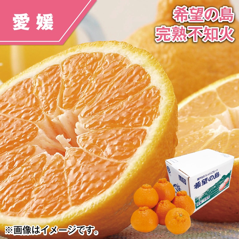 希望の島　完熟不知火 送料込み