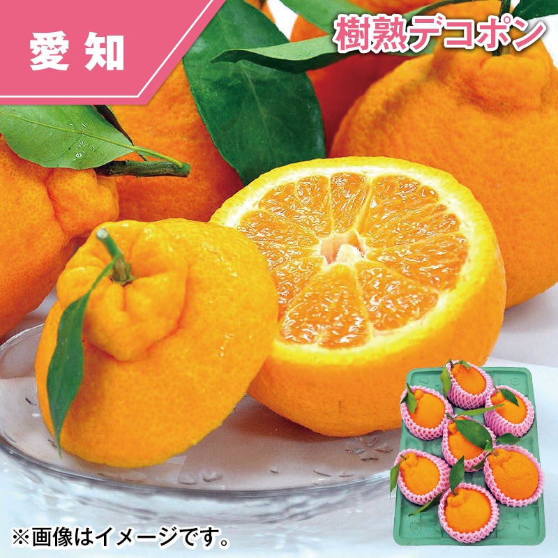 樹熟デコポン 送料込み