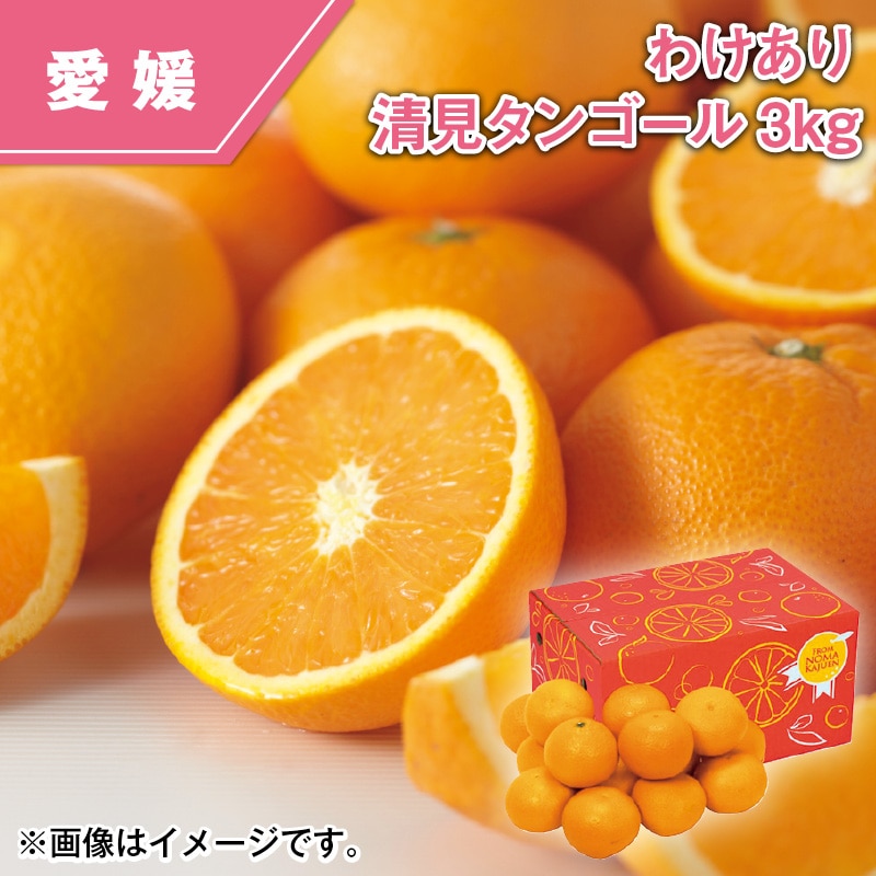 わけあり　清見タンゴール　３ｋｇ 送料込み