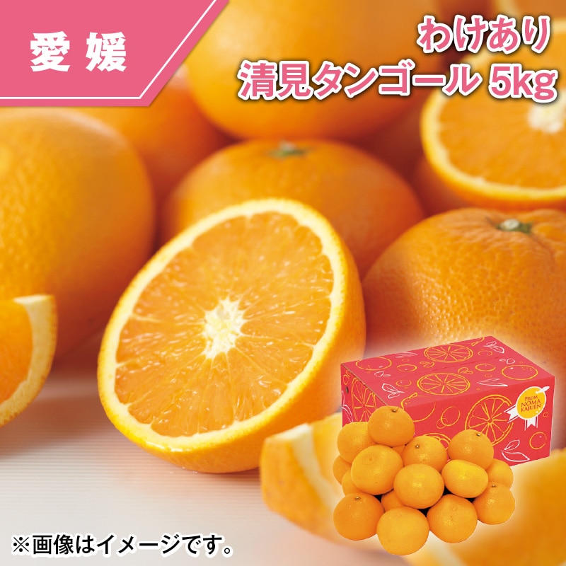 わけあり　清見タンゴール　５ｋｇ 送料込み