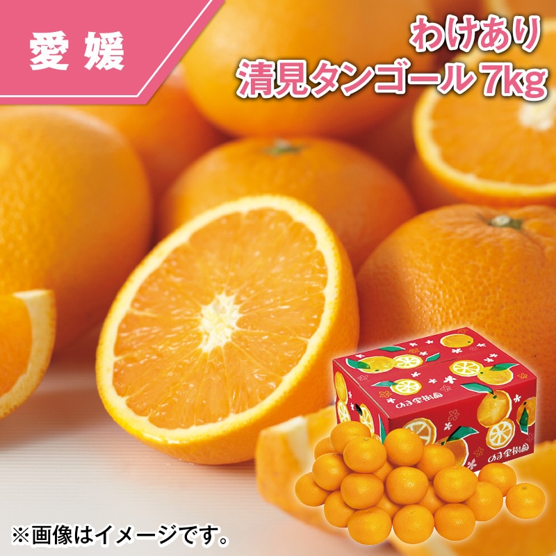 わけあり　清見タンゴール　７ｋｇ 送料込み