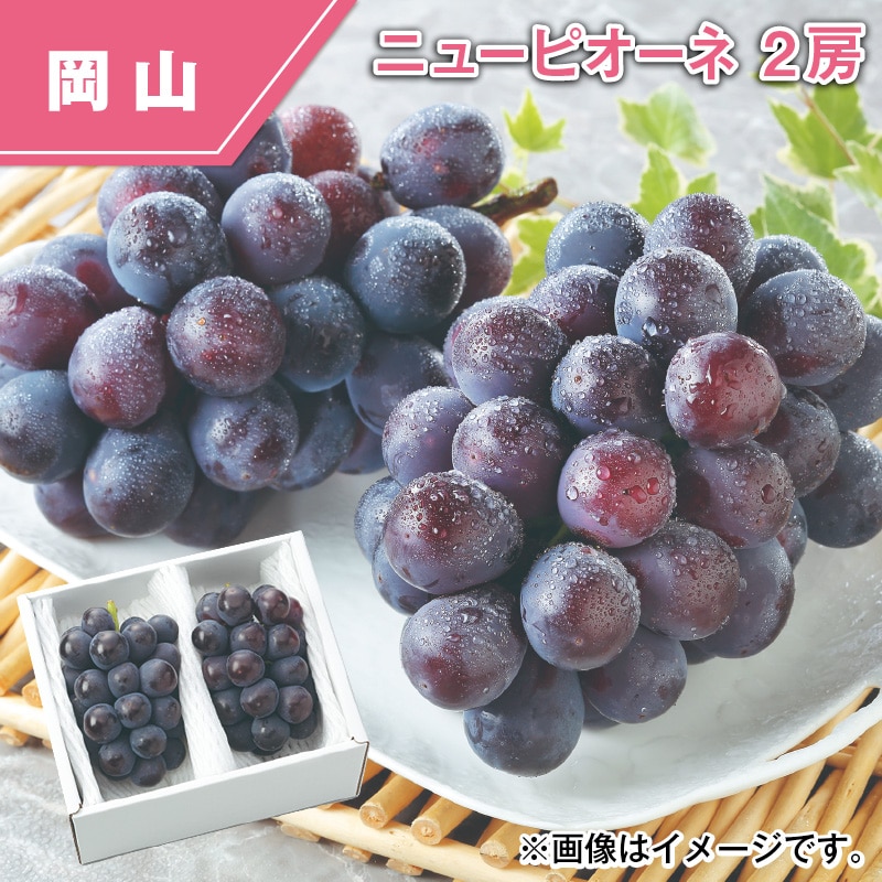 ニューピオーネ　２房 送料込み