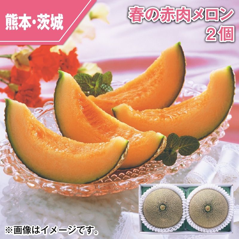 春の赤肉メロン　２個 送料込み