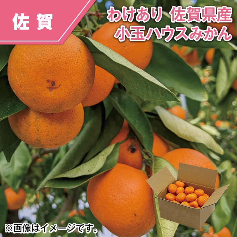 わけあり　佐賀県産　小玉ハウスみかん 送料込み