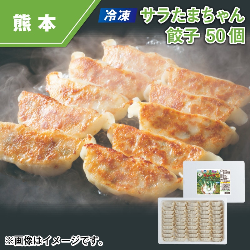 【冷凍】サラたまちゃん餃子　５０個 送料込み