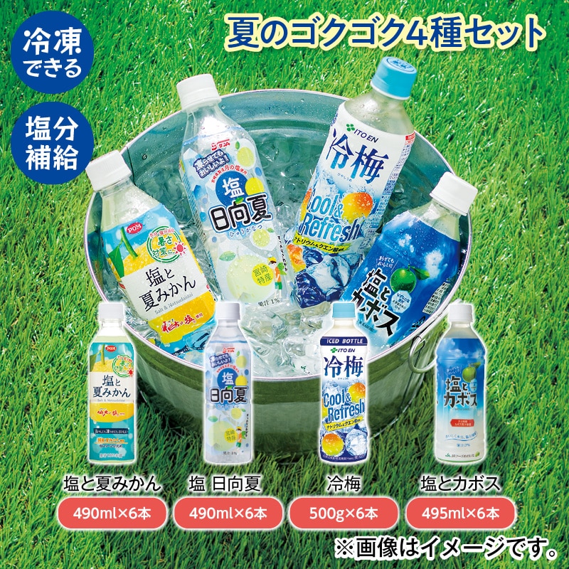 夏のゴクゴク４種セット 送料込み