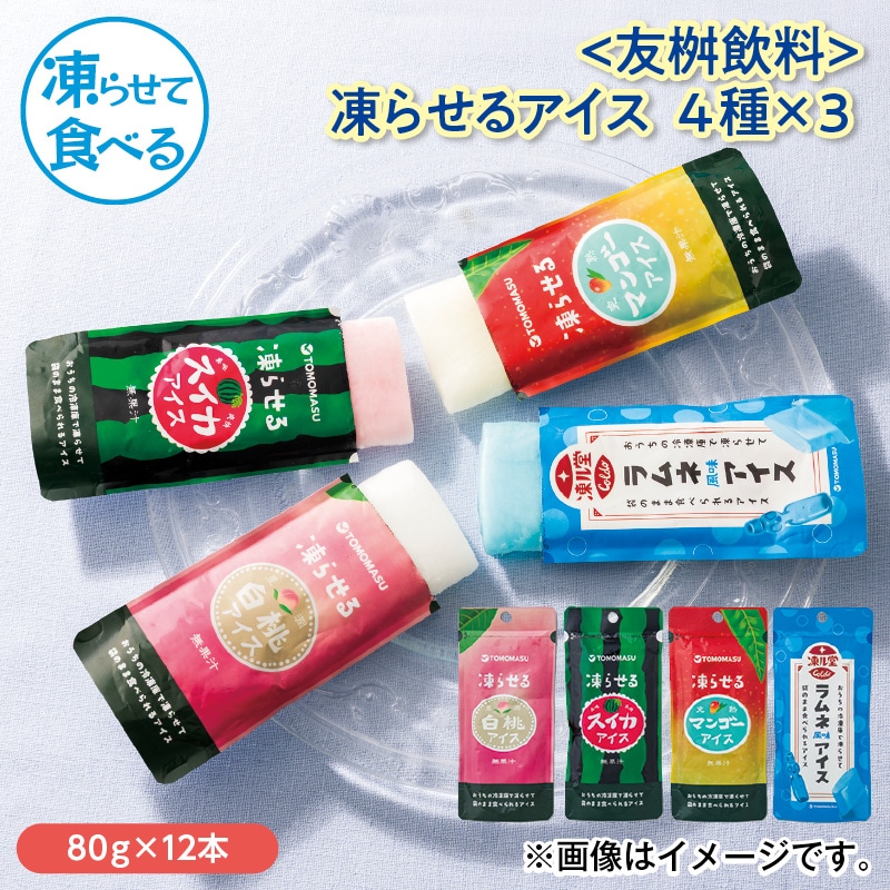 〈友桝飲料〉凍らせるアイス　４種×３ 送料込み