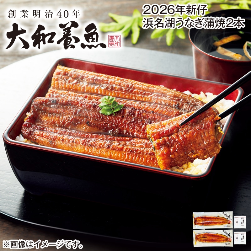 ２０２６年新仔　浜名湖うなぎ蒲焼２本 送料込み
