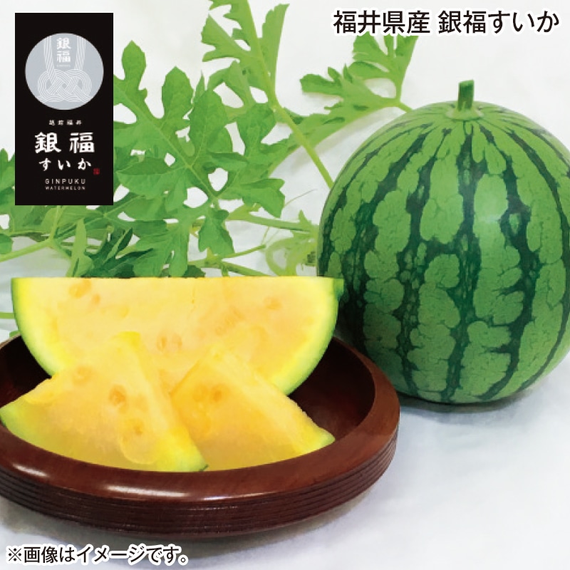 福井県産　銀福すいか 送料込み