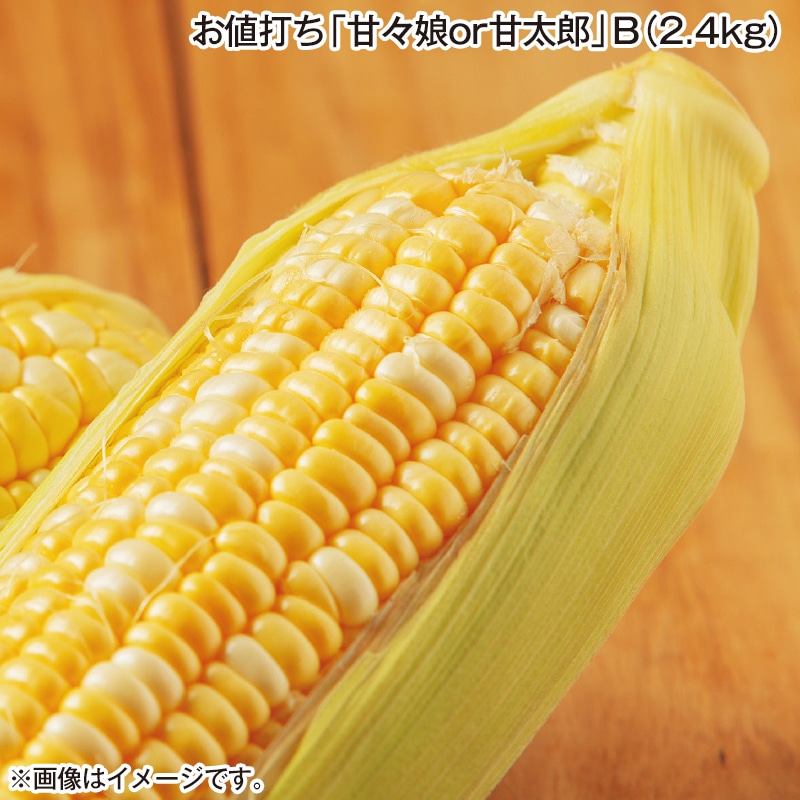 お値打ち「甘々娘ｏｒ甘太郎」Ｂ（２．４ｋｇ） 送料込み