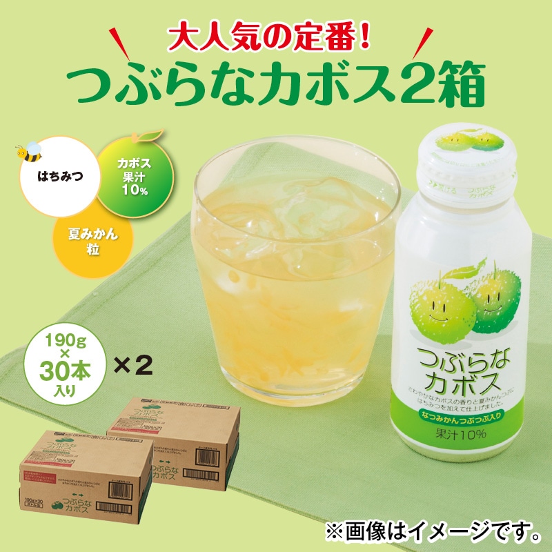 つぶらなカボス２箱 送料込み