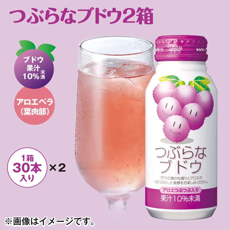 つぶらなブドウ２箱 送料込み