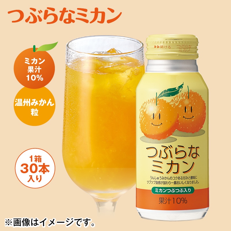 つぶらなミカン 送料込み