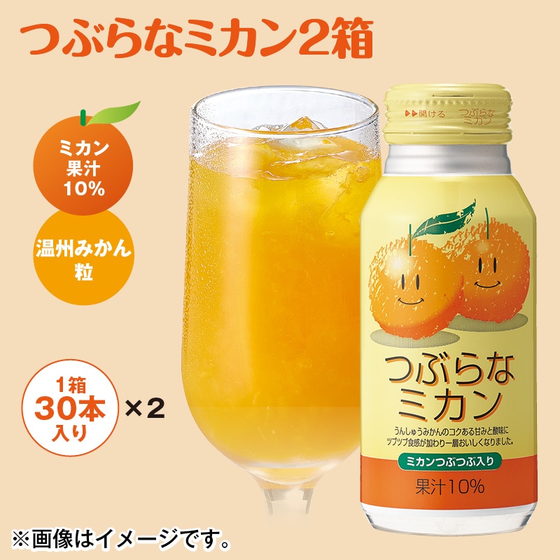 つぶらなミカン２箱 送料込み