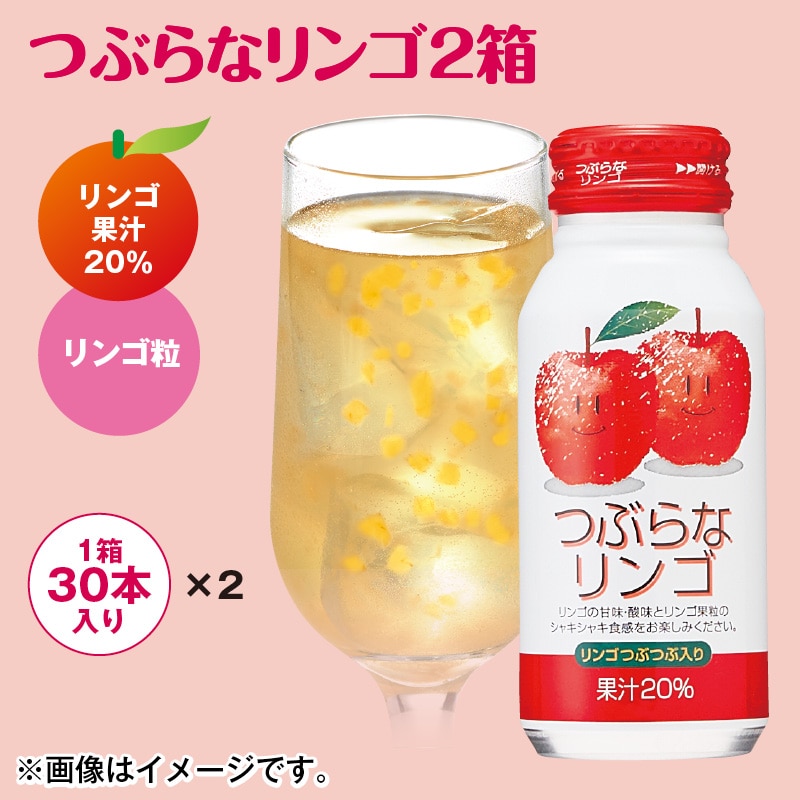 つぶらなリンゴ　２箱 送料込み