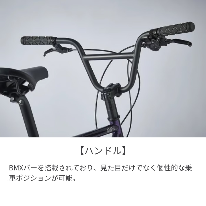 スポーツ車 ミニベロ(小径車) tern(ターン) AMP F1(アンプ エフワン) ブラックシャンパン 20インチ 24AMP0BC46 ブラックシャンパン(2024)/460mm 20インチ