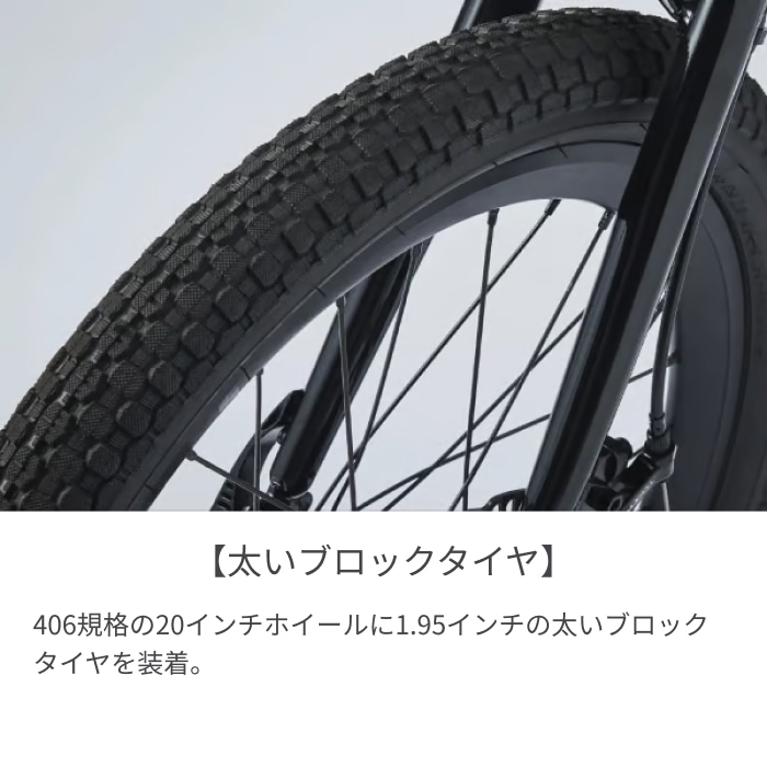 スポーツ車 ミニベロ(小径車) tern(ターン) AMP F1(アンプ エフワン) ブラックシャンパン 20インチ 24AMP0BC46 ブラックシャンパン(2024)/460mm 20インチ