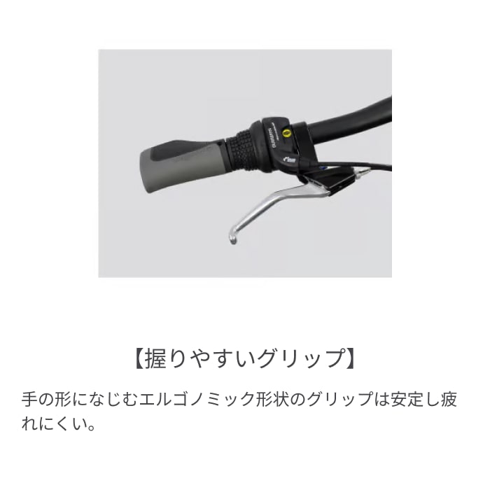 折りたたみ自転車 スポーツ車 DAHON(ダホン) Hit バーントメタル 20インチ 22HITBM00 バーントメタル 20インチ