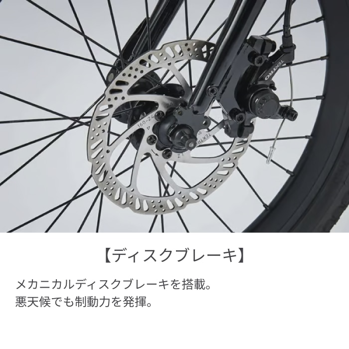 スポーツ車 ミニベロ(小径車) tern(ターン) AMP F1(アンプ エフワン) ブラックシャンパン 20インチ 24AMP0BC46 ブラックシャンパン(2024)/460mm 20インチ