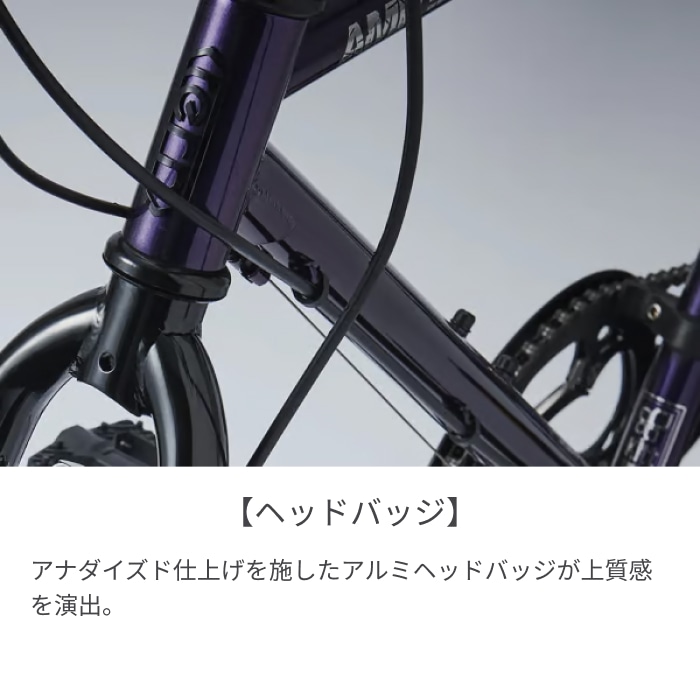 スポーツ車 ミニベロ(小径車) tern(ターン) AMP F1(アンプ エフワン) ブラックシャンパン 20インチ 24AMP0BC46 ブラックシャンパン(2024)/460mm 20インチ