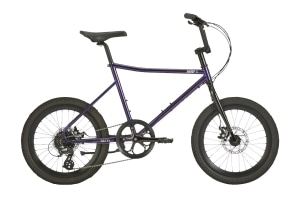 パープル(2024)/500mm