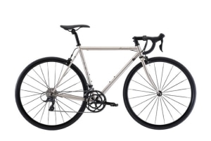 シャンパンゴールド(2023)/52cm