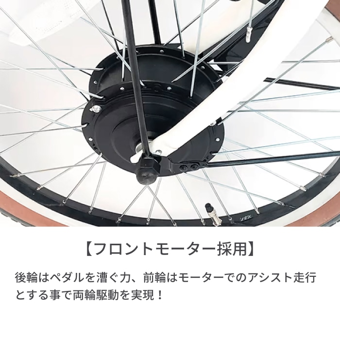 折りたたみ自転車 電動アシスト自転車 PELTECH(ペルテック) TDN