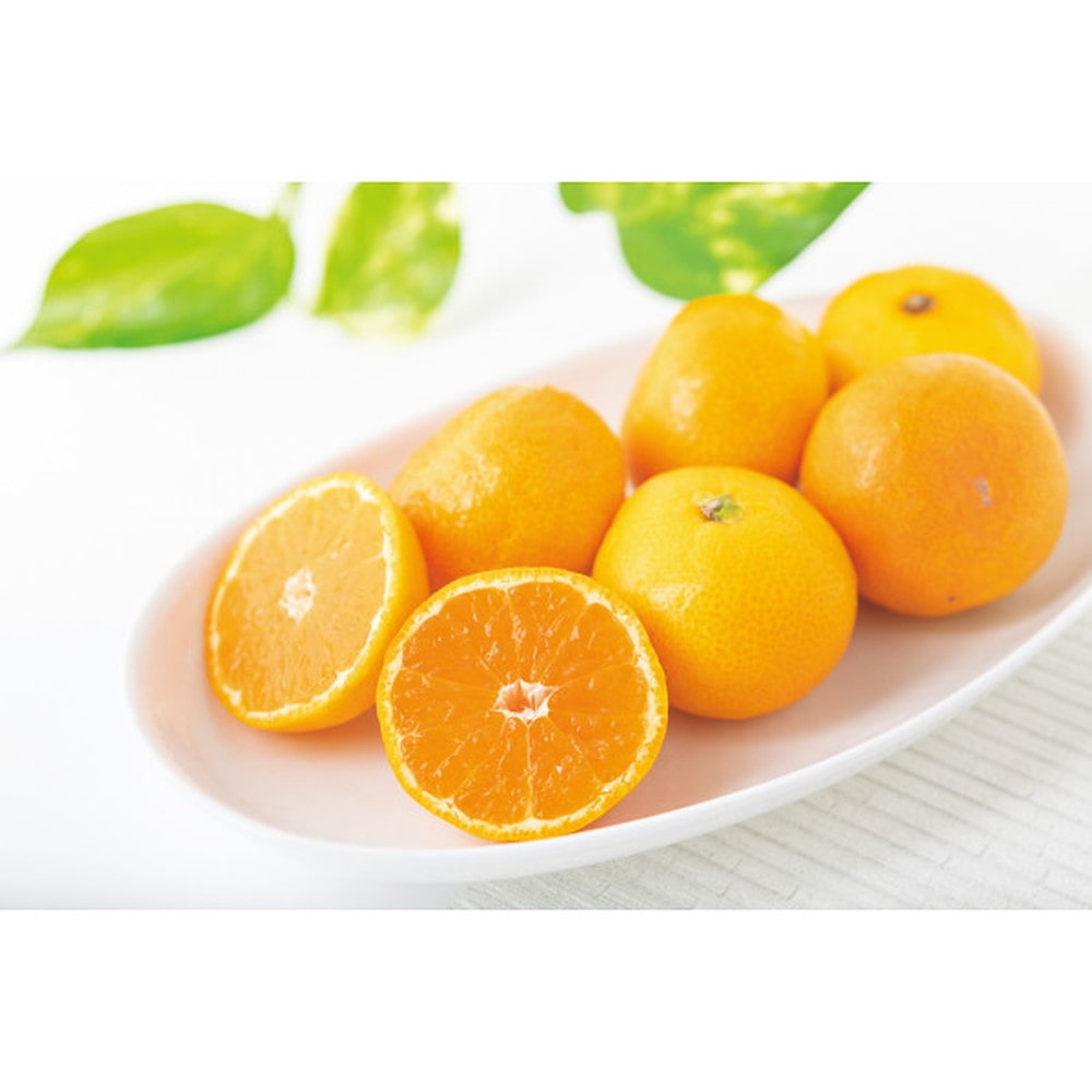 ◆【お歳暮限定】和歌山県産とん吉のみかん(5kg)◇メーカー直送 ▼返品・キャンセル不可【他商品との同時購入不可】