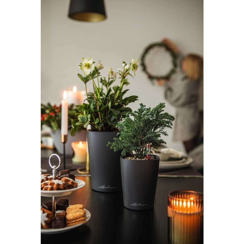 Lechuza 底面給水プランター デルティーニ 土容量1.2L 【直送品】 返品・キャンセル・他商品と同時購入は不可