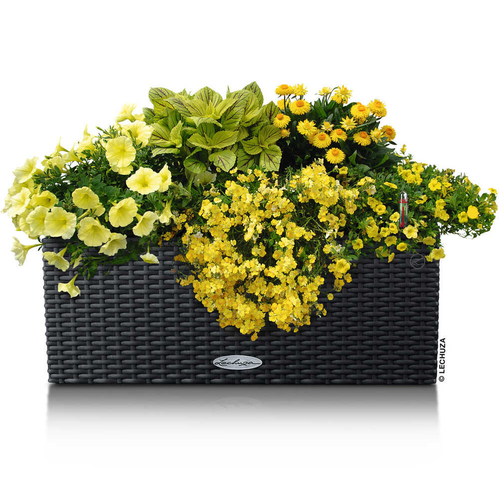 Lechuza 底面給水プランター バルコネラ コテージ メーカー直送 ▼返品・キャンセル不可【他商品との同時購入不可】